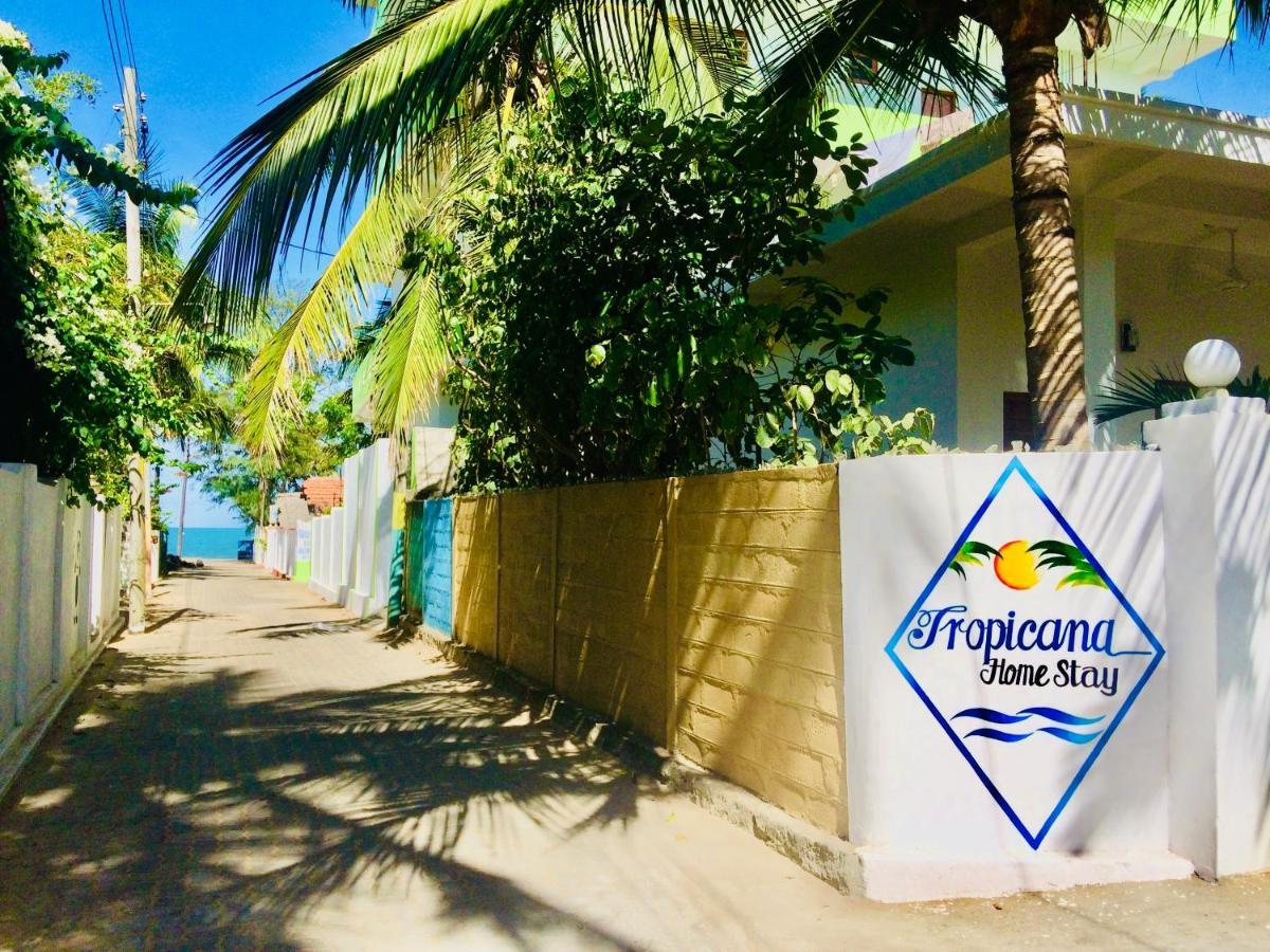 Tropicana Home Stay Arugam Bay Εξωτερικό φωτογραφία