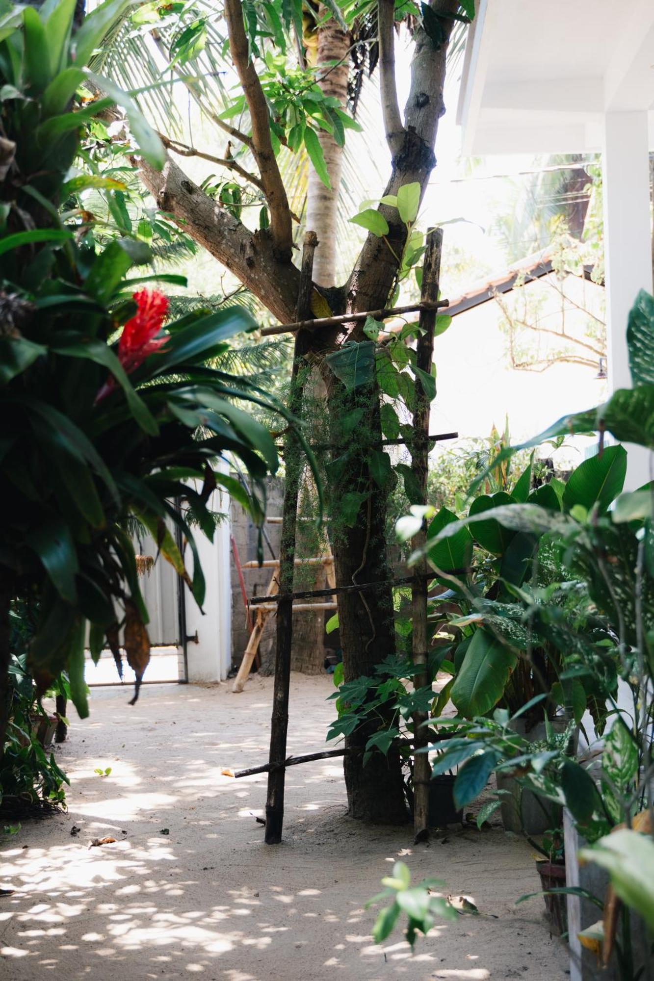 Tropicana Home Stay Arugam Bay Εξωτερικό φωτογραφία